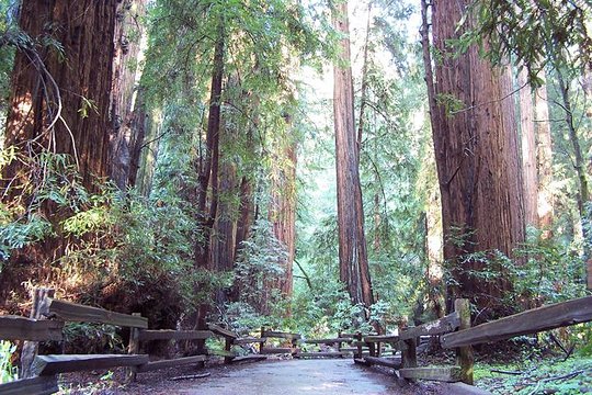Tour image 1