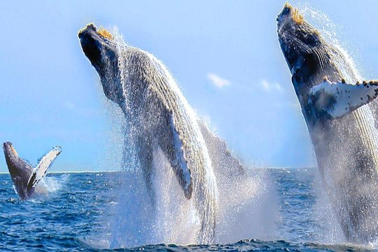 Tour image 5